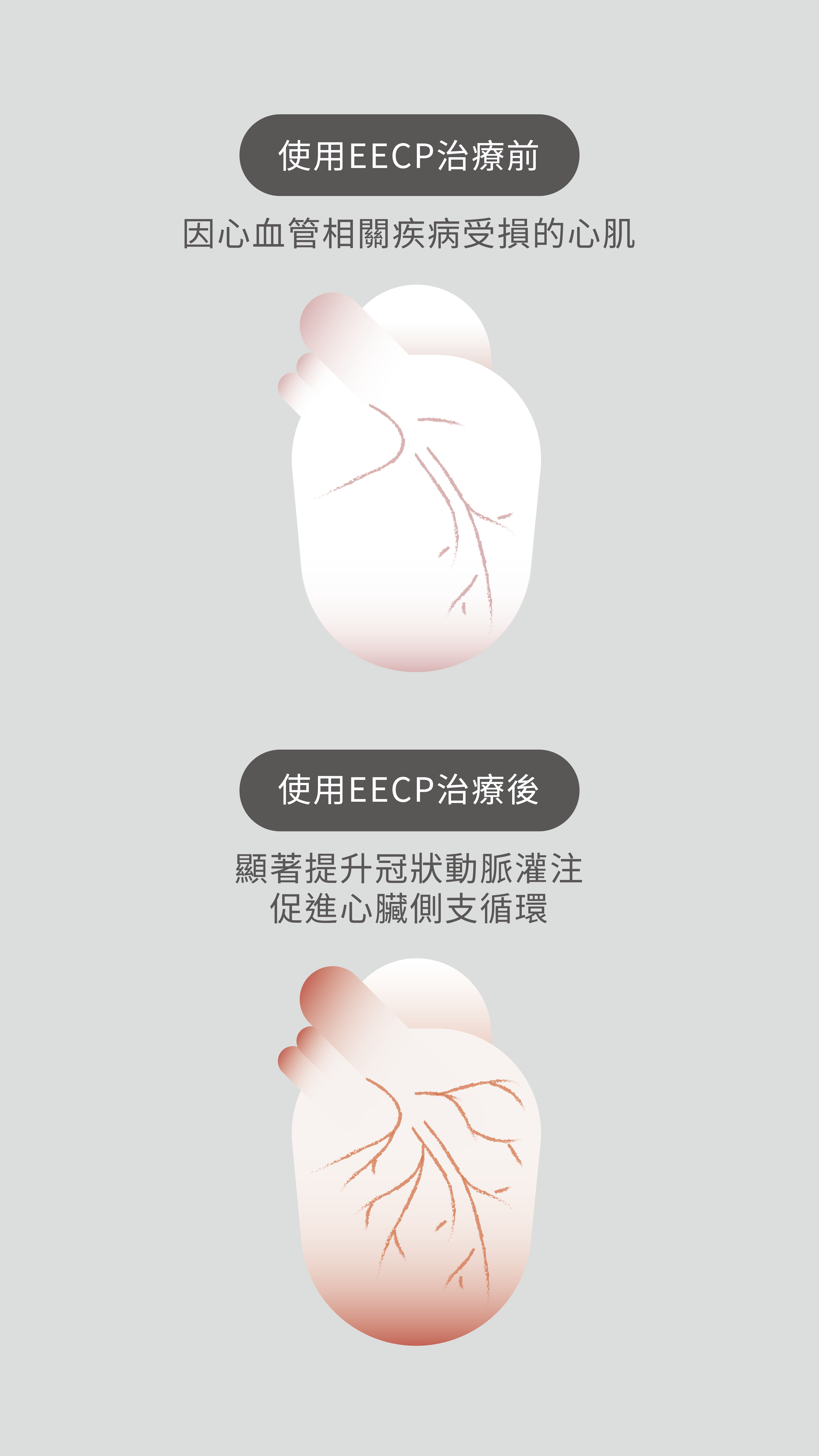 素材_05.png